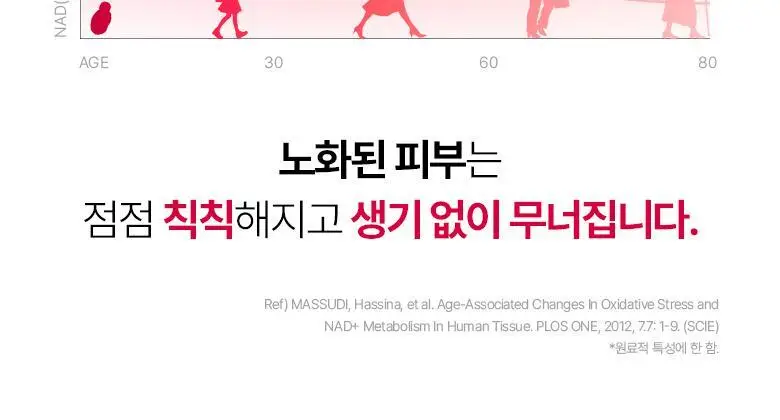 [광채세럼] 바이오힐보 NAD 프리즈셀 글로우 파워 세럼 30ml [단품/기획] 상세페이지 11